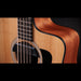 Taylor 150ce Bajo Quinto 10-String Acoustic Electric Guitar Cutaway