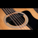 Taylor 150ce Bajo Quinto 10-String Acoustic Electric Guitar Closeup Soundhole