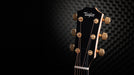 Taylor 50th Anniversary 217e-SB Plus LTD Acoustic Guitar With Case