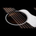 Taylor Somos 250ce Plus BLK Doce Doble 12-String Black Strings