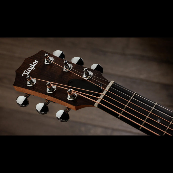 Taylor Special Edition Guitars 4 Vet GS Mini Americana Headstock