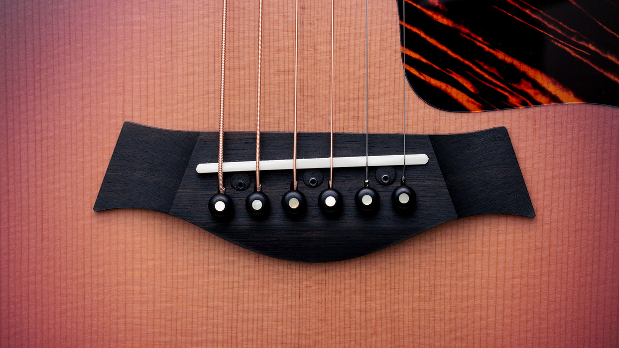 Taylor 50th Anniversary GS Mini-e Rosewood SB Acoustic Guitar With Case