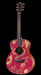 Taylor GS Mini-e Special Edition Dragon Acoustic Electric Guitar Front