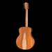 Taylor GS Mini-e LTD Figured Koa Back Left