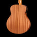 Taylor GS Mini-e Special Edition Floral Blue Spruce Top Back Crop