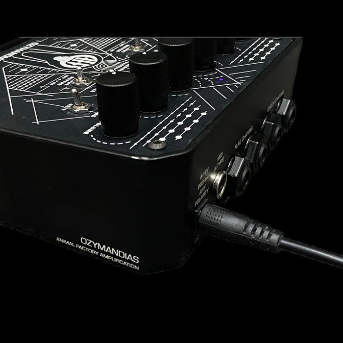 Animal Factory Ozymandias Dual Overdrive/Distortion Pedal Closeup Inputs/Outputs