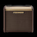 Fishman Loudbox Micro Guitar Amplifier Combo Front