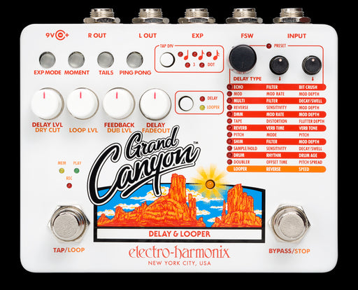 Electro-Harmonix Grand Canyon Delay and Looper Guitar Effect Pedal