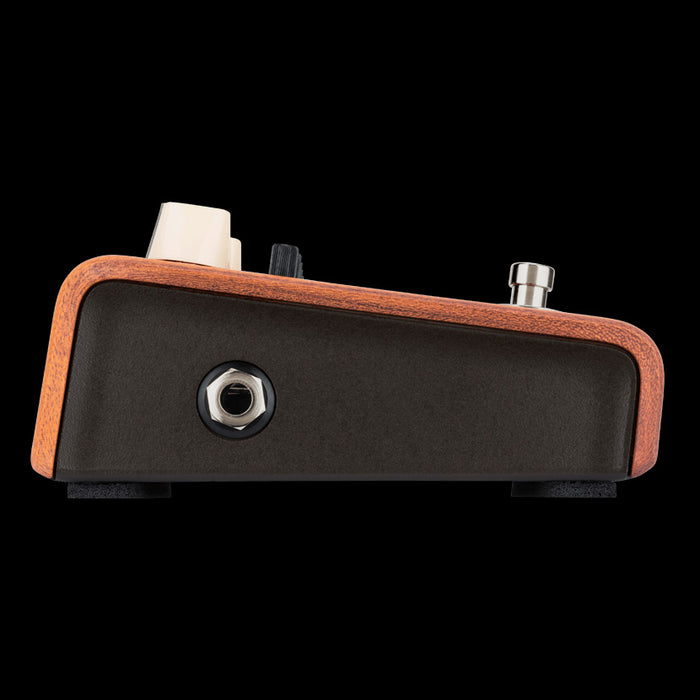 LR Baggs Align 6 Band EQ Acoustic Pedal Right Side