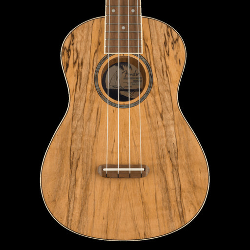 Fender Zuma Exotic Concert Ukulele Walnut Fingerboard Spalted Maple Front Crop