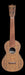 Martin 0XK Concert Ukulele Front 