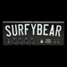 Surfy Industries Surfybear Metal Reverb Unit Front