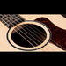 Taylor Big Baby Taylor (BBT) Walnut and Spruce Acoustic Guitar Rosette