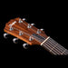 Taylor Big Baby Taylor (BBT) Walnut and Spruce Acoustic Guitar Headstock