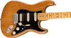 Fender American Professional II Stratocaster HSS Maple Fingerboard Roasted Pine Electric Guitar With Case