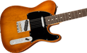 Fender American Performer Telecaster Rosewood Fingerboard Honey Burst