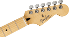 DISC - Fender Shawn Mendes Musicmaster Maple Fingerboard Floral PRE ORDER
