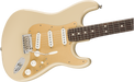 Fender Limited Edition American Professional Stratocaster Solid Rosewood Neck Desert Sand