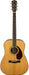 Fender PM-1 Standard Dreadnought Paramount Series Acoustic/Electric Guitar