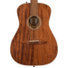 Fender Malibu Special All Mahogany Pau Ferro Fingerboard Natural Acoustic Guitar With Bag