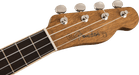 Fender CD-60S Dreadnought Walnut Fingerboard All-Mahogany