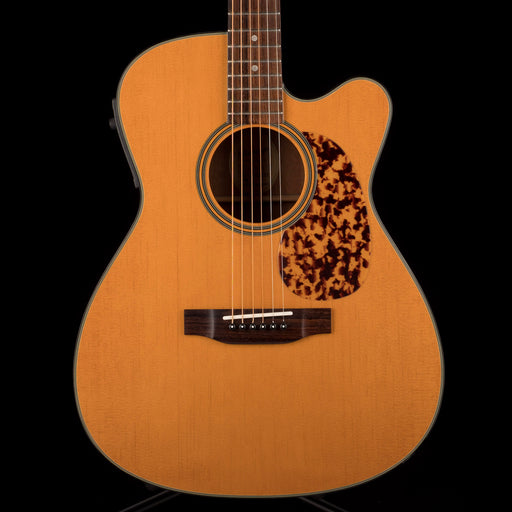 Pre Owned Blueridge BR-143CE Acoustic Guitar With Gig Bag