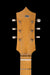 Vintage Stratosphere Single Neck Owned by Ry Cooder
