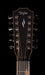 Taylor 858e LTD Grand Orchestra 12 String Acoustic Electric with Case