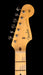 Fender Custom Shop 1959 Stratocaster HSS Journeyman Relic Charcoal Frost Metallic