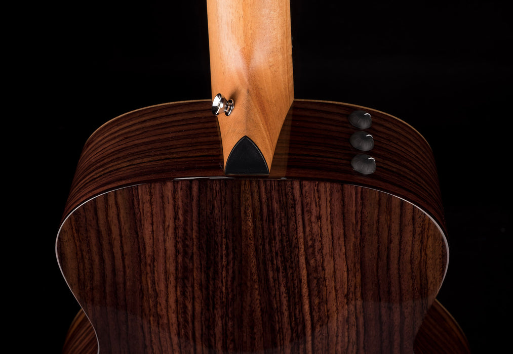Taylor GS Mini-e Rosewood Plus With AeroCase