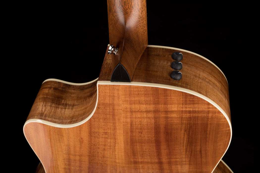 Taylor 514ce LTD Blackwood Acoustic Electric Guitar With Case