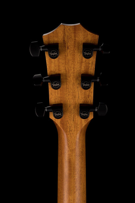 Taylor Urban Ash 424CE LTD Acoustic Electric Guitar With Case