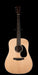 Martin D-13E Ziricote Acoustic Guitar