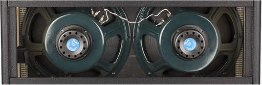 Fender Tone Master Twin Reverb Guitar Amplifier Combo