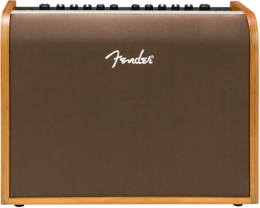 Fender Acoustic 100 Two Channel Acoustic Guitar Amplifier