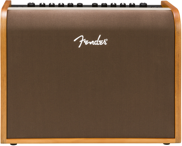 Fender Acoustic 100 Two Channel Acoustic Guitar Amplifier