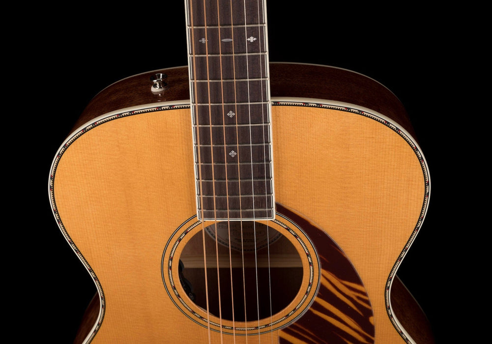 Fender Paramount PO 220E Orchestra Natrual with Case