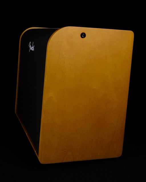 Used Fender Acoustic 100 Amp with Cover