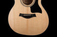 Taylor Urban Ash 424CE LTD Acoustic Electric Guitar With Case