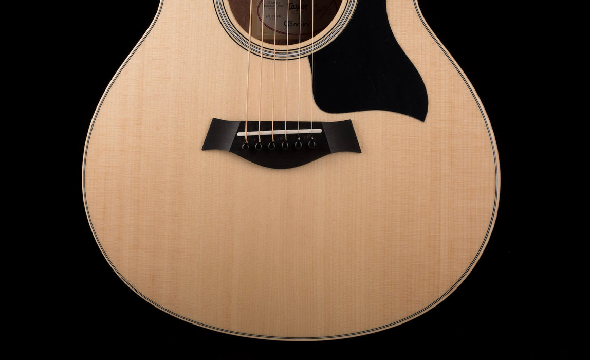 Taylor GS Mini-e Rosewood Plus With AeroCase
