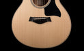 Taylor GS Mini-e Rosewood Plus With AeroCase