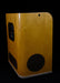 Used Fender Acoustic SFX Amp with Cover