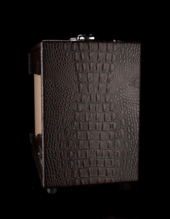 Used Carr Raleigh Gator Guitar Amp Combo