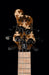 Mayones Cali4 Bass Swamp Ash Body Triskellon Top Birdseye Maple Board 9pc Maple Neck Cali 4