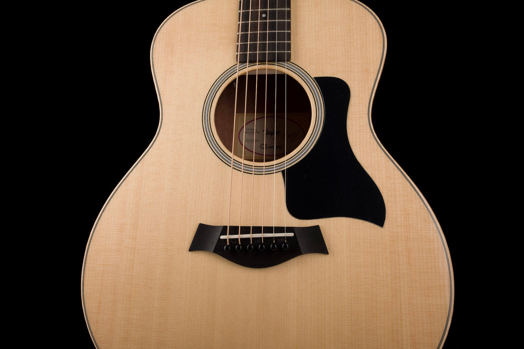 Taylor GS Mini-e Rosewood Plus With AeroCase
