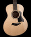 Taylor GS Mini-e Rosewood Plus With AeroCase