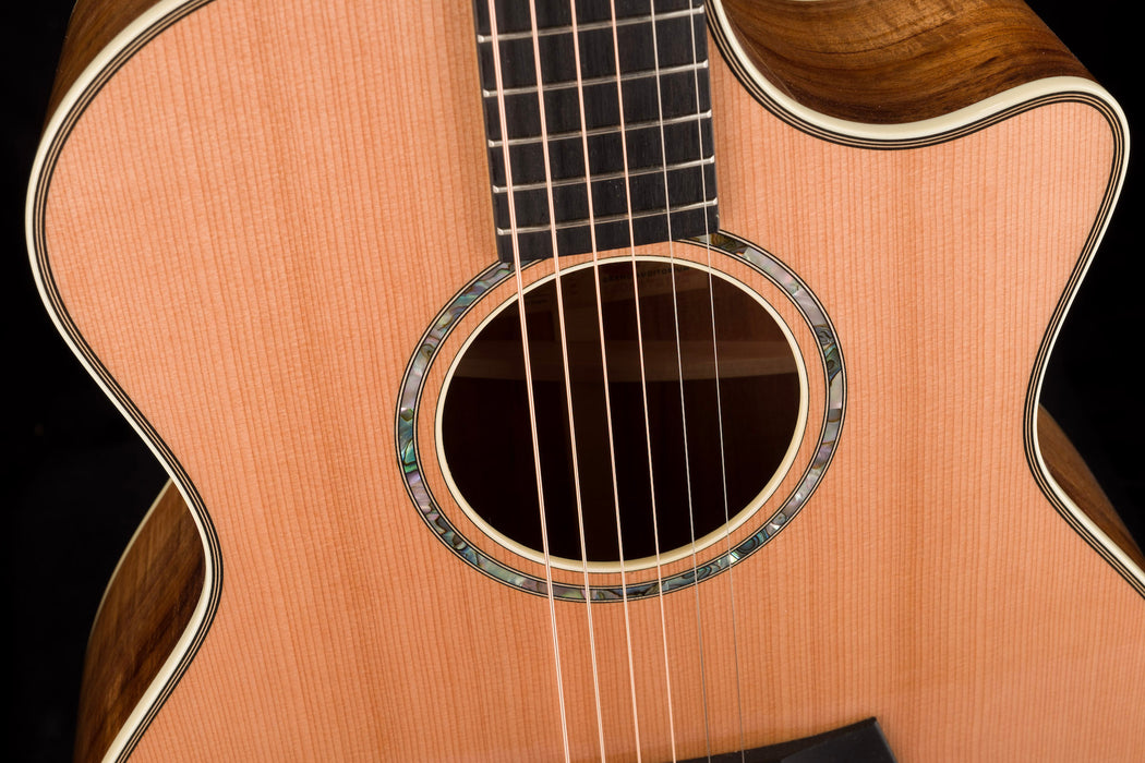 Taylor 514ce LTD Blackwood Acoustic Electric Guitar With Case