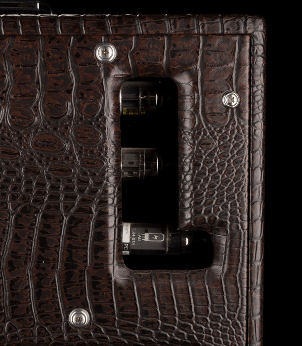 Used Carr Raleigh Gator Guitar Amp Combo