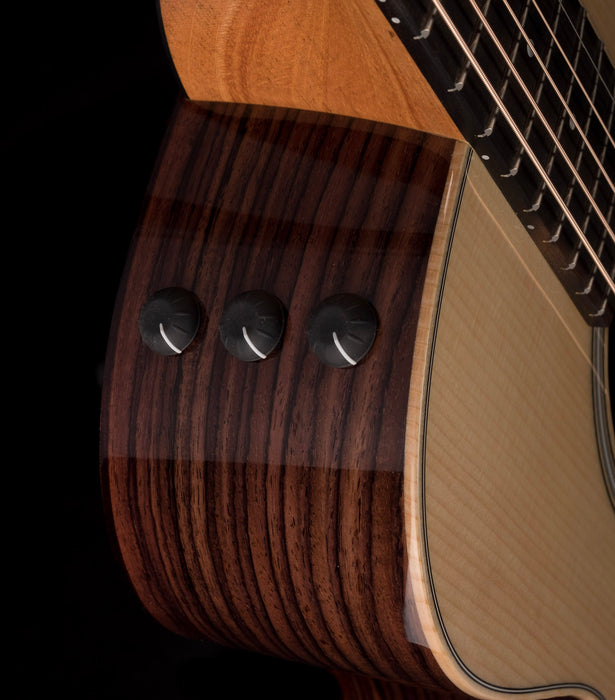 Taylor GS Mini-e Rosewood Plus With AeroCase
