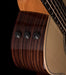 Taylor GS Mini-e Rosewood Plus With AeroCase